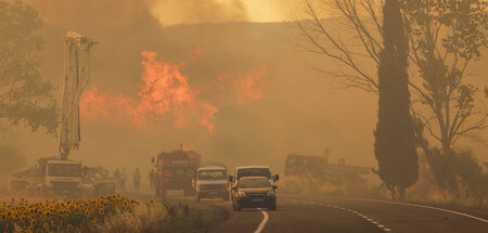 Einsatz der Feuerwehr gegen einen Großbrand auf der Halbinsel Ga...