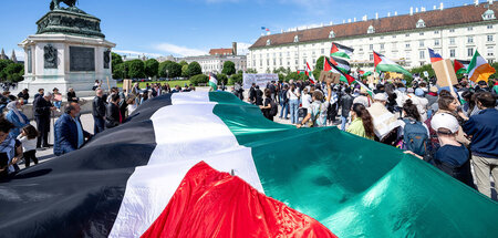 Demnächst mit eigener Partei: Propalästinensische Demonstranten ... Demnächst mit eigener Partei: Propalästinensische Demonstranten ...