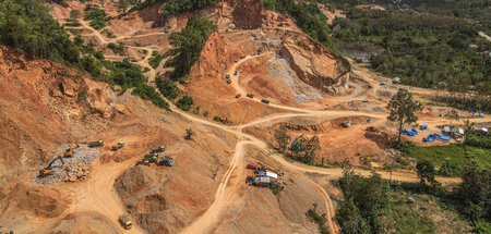 Der Bergbau hat »The Tree Project« zufolge in Indonesien riesige...