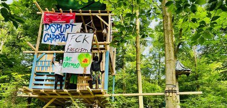 Angeblich eine Gefahr für die »öffentliche Ordnung«: Baumhaus im...