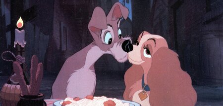 Klassengesellschaft: Die feine Cockerspanieldame Susi und der Mi...