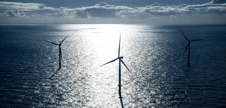 »Schützenswerte Riffe«: Offshorewindpark »Riffgat« 15 Kilometer ...
