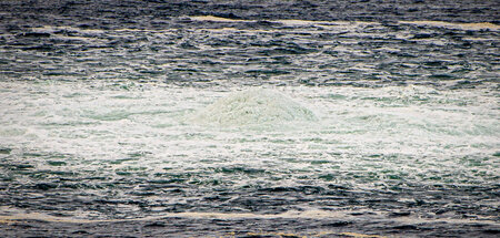 Kein Quell der Erkenntnis: Aus der Pipeline »Nord Stream 2« aust...