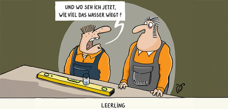 Birgit Dodenhoff: »Leerling«