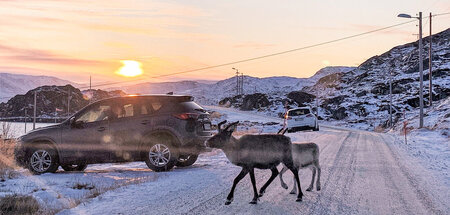 »Mama, ich möchte ein Eis!« – »Welches Eis?«
