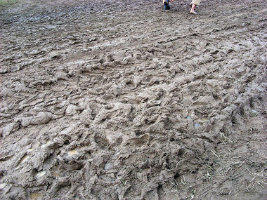Zuviel Regen: Rainald Grebe prangerte das Woodstock-Gehabe an Zuviel Regen: Rainald Grebe prangerte das Woodstock-Gehabe an