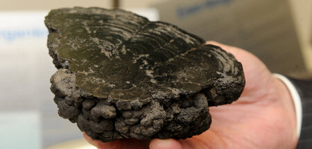 Sollen nach dem Willen etlicher Staaten en masse vom Meeresboden...