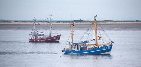 Fangquote machen: Ausfahrt im Duo in der Deutschen Bucht nahe de...