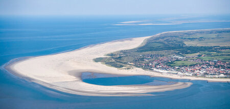 »Kinderstube vieler Fischarten«: Nordsee vor Borkum