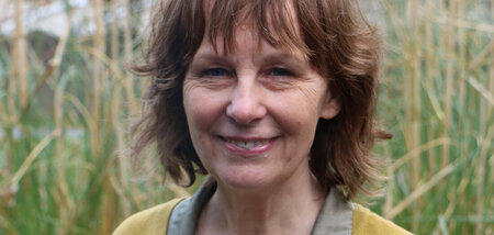 Zeichnet die besonderen Wege der irischen Literatur nach: Jenny ...