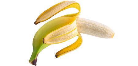 Echt Banane: Ror Wolf collagierte für sein Hörspiel »Bananen-Hei...
