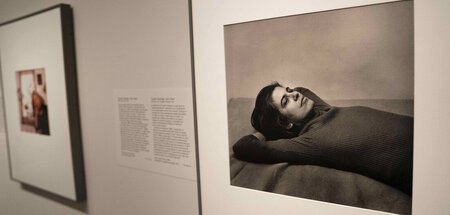 Wegweisende Gedanken zu Papier gebracht: Susan Sontag, gewürdigt...