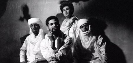 Die lautesten und schnellsten Vertreter des Tichumaren