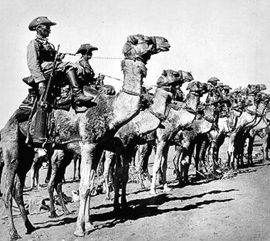 Deutsche »Schutztruppe« in Südwestafrika um 1900: »Das, was wir ...