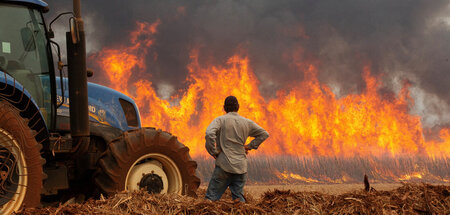 Theorie und Praxis: Feuer auf einer Zuckerrohrplantage in Brasil...