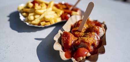 Spezialität: Tomatenmark, Worcestershiresoße und Currypulver übe...