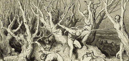 Selbstmördern blüht in Dantes »Inferno« ein Tod als Baum (Illust...