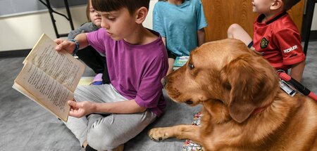 Weiß doch jeder Hund: Nach rechts kann man rutschen, nach links ...