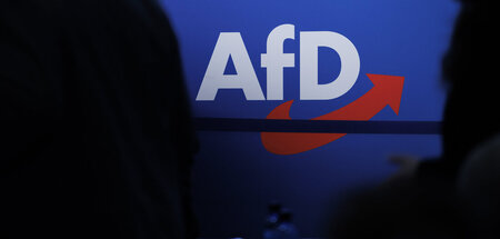 Die AfD ist mit einer Klage gegen Wahlen von Ausschussvorsitzend...