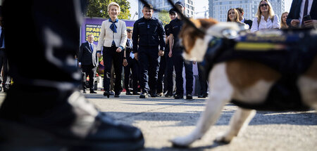Fass! Ein Bombensuchhund in Kiew zur Absicherung des Besuchs von...