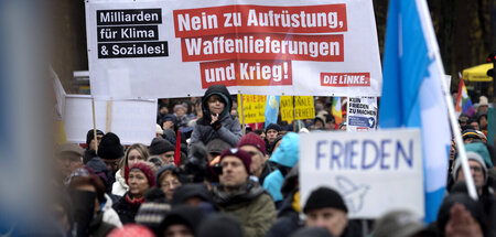 Mitglieder der Partei Die Linke auf einer Friedensdemonstration ...