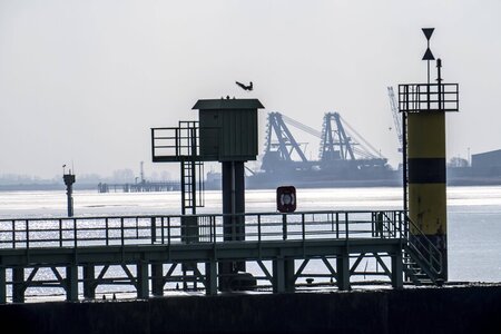 Hinter der Wesermündung, im Bremerhavener Weserwatt, sähe die Br...