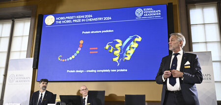 Johan Åqvist (r.), Mitglied des Nobelkomitees für Chemie, erläut...