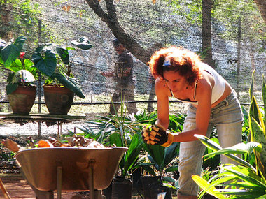 Das Organopónico Vivero Alamar in Havanna gehört zu einem Netz s