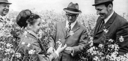 Wie wird die Ernte? Gerhard Grüneberg, Margarete Müller, Erich H...