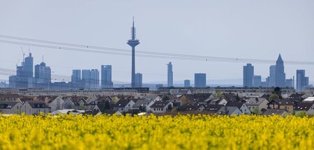 Wohngebiete in der Mainmetropole versprechen »blühende Landschaf... Wohngebiete in der Mainmetropole versprechen »blühende Landschaf...