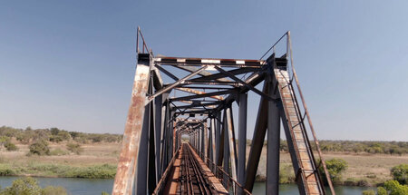 »Der Tazara«: Vorsicht, auf der anderen Seite lauern Löwen und F...