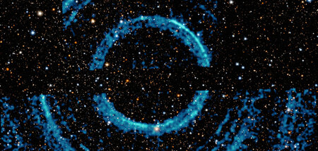 V404 Cygni, aufgenommen mit dem Röntgenteleskop des NASA-Satelli...