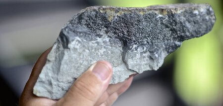 Großer Brocken ganz klein: Ein Stück des Chicxulub-Asteroiden