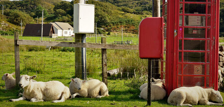 Work-Life-Balance im Griff: Neulich in den Highlands