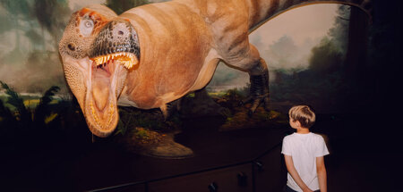 Werden jetzt auch trauriger: Dinosaurier