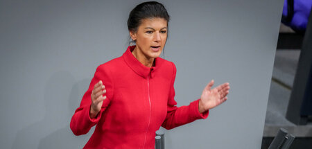 Bundestag_84110365.jpg