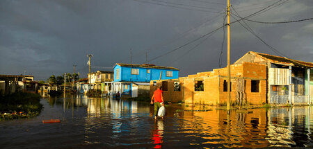Land unter nach dem Hurrikan in Batabanó auf Kuba (7.11.2024)