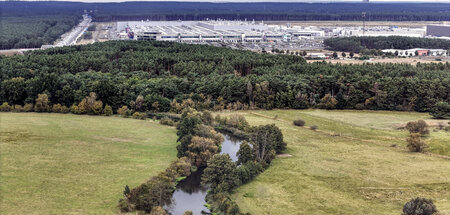 Die Spree nahe der Tesla-Gigafactory in Grünheide