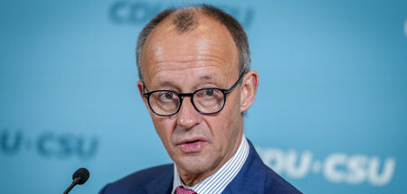 Bundestag_84312012.jpg