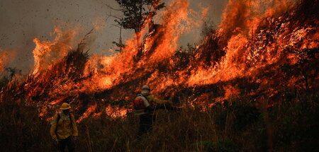 2024-08-09T120120Z_1957362937_RC2WB9A7V2GX_RTRMADP_3_BRAZIL-FIRE
