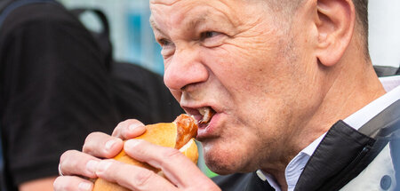 Die angepriesene Mehrwertsteuersenkung würde Lebensmittel nur um...