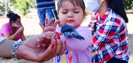 Auf der Finca »La Edad de Oro« wurde bis 2019 tiergestützte Ther...