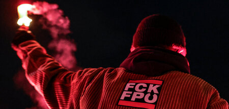 Protest allein reicht nicht aus: Die FPÖ kann weiter bei Wahlen ...