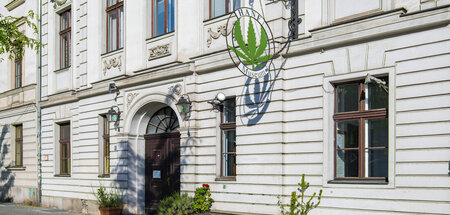 Eingang zum Hanfmuseum im Berliner Nikolaiviertel (9.5.2024)