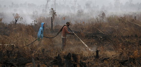 Indonesische Arbeiter löschen ein Feuer auf einer Palmölplantage... Indonesische Arbeiter löschen ein Feuer auf einer Palmölplantage...