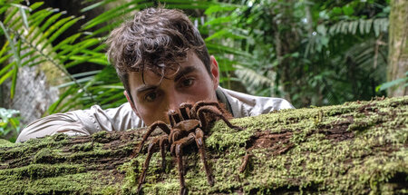 Sensation: Spinne in Guyana entdeckt eine neue Affenart Sensation: Spinne in Guyana entdeckt eine neue Affenart