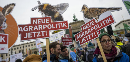Rufen nach gutem Essen für alle »statt Profiten für wenige«: Dem...