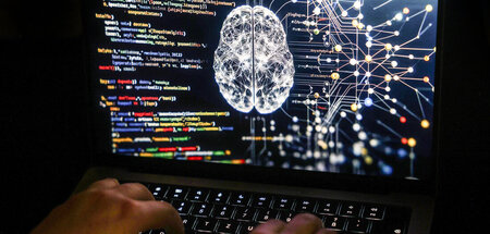 Nicht alles, was vernetzt ist, ist auch ein Gehirn