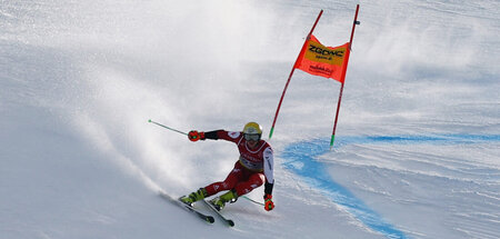 ALPINE-SKIING.JPG