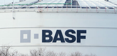 BASF_85194655.jpg